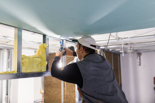 Best Insulation for Specific Applications in Whitewater, CA