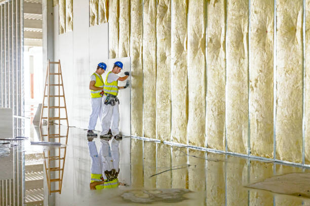 Best Insulation for Specific Applications in Whitewater, CA